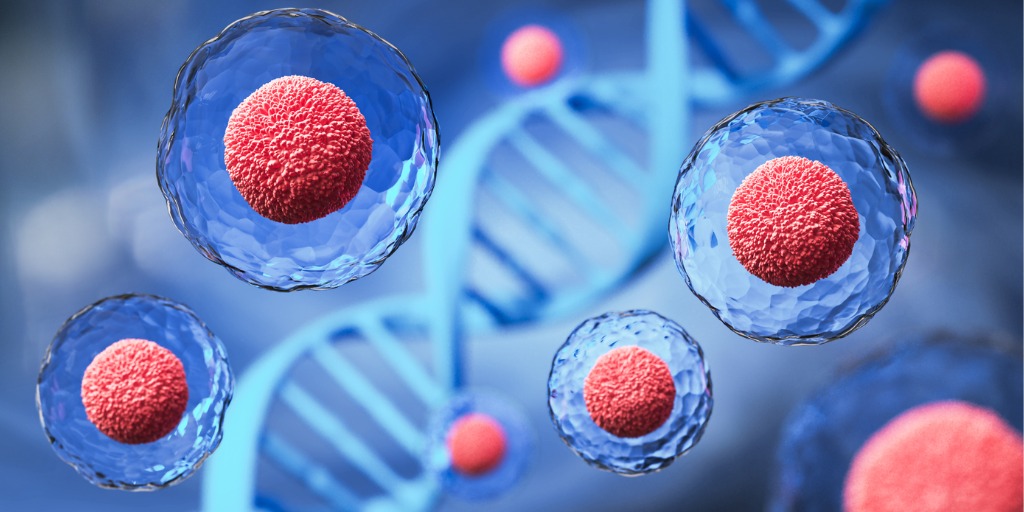 Células Madre: regeneran y protegen tus&nbsp;articulaciones